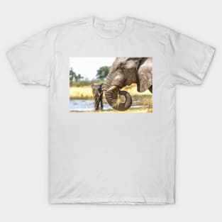 Elephant Eating Grass T-Shirt